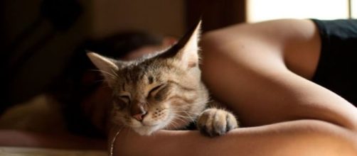 six bonnes raisons de dormir avec son chat - photo publiée sur le site terrafemina.com