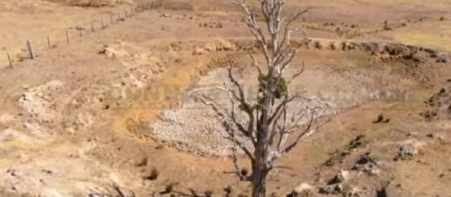 The crippling drought is stretching into even the greenest parts of Australia. [Image source – ABC News (Australia) YouTube video]