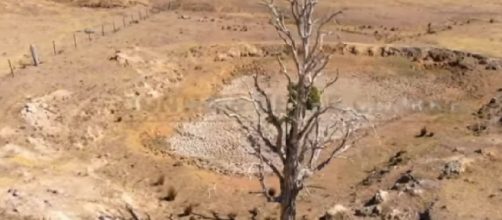The crippling drought is stretching into even the greenest parts of Australia. [Image source – ABC News (Australia) YouTube video]