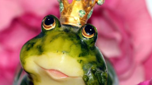L'oroscopo dell'amore per i single, 9 ottobre: Scorpione romantico, Acquario critico