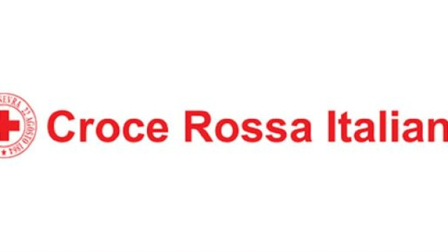 Posizioni aperte Cri per data analyst e sviluppatore sap business one: cv entro novembre 2019