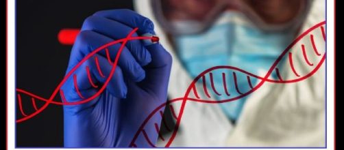 Negli Stati Uniti una start-up offre un test genetico sugli embrioni. Il test è disponibile in 12 cliniche nel mondo, di cui 6 negli USA.