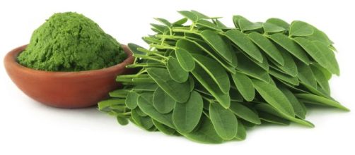 Moringa, una planta con muchas propiedades para la salud.