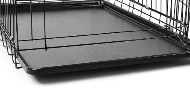 Singapore, bimbo non vuole farsi il bagnetto: rinchiuso nella gabbia per gatti, poi morto per le torture