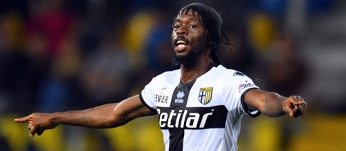 Parma: Gervinho potrebbe farcela per Bologna, Inglese no