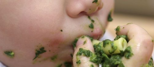 Stati Uniti, impongono dieta vegana ai figli: bimbo muore a 18 mesi, genitori arrestati
