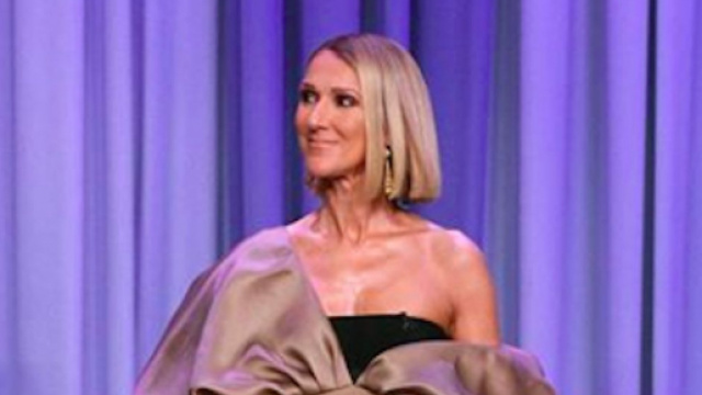 Céline Dion a failli être attaqué par un militant vegan. Credit: Instagram/celinedion