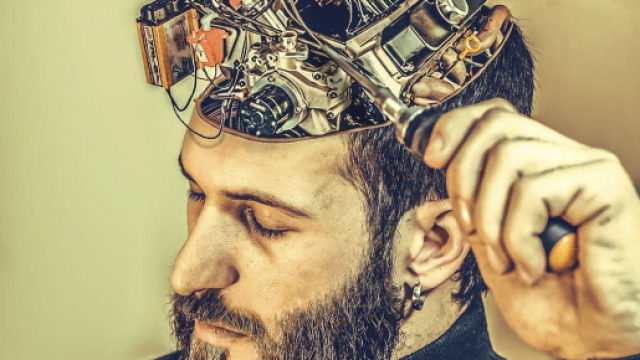 Le striatum: ce cerveau archaïque qui nous rend déraisonnable. Credit: Pexels