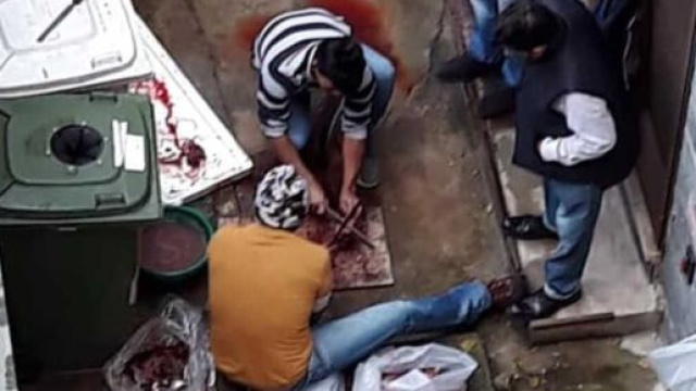 L'immagine postata sui social dal consigliere Rocca