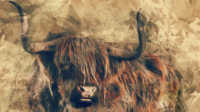 Previsioni astrologiche, classifica 20 novembre: Toro voltagabbana, Capricorno instancabile.