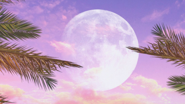 Oroscopo del giorno 8 novembre 2019 | Astrologia, classifica e previsioni per gli ultimi sei segni dello zodiaco