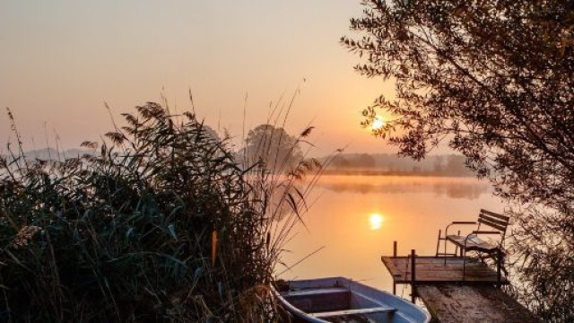 Oroscopo 21 novembre: ritorni di fiamma per Capricorno, viaggi favorevoli per Gemelli