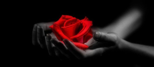 L'oroscopo dell'amore per i single del 23 novembre: Cancro consapevole, Vergine ammaliante