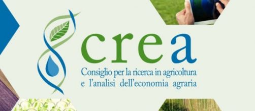 Assunzioni al Crea: concorsi per diplomati e laureati