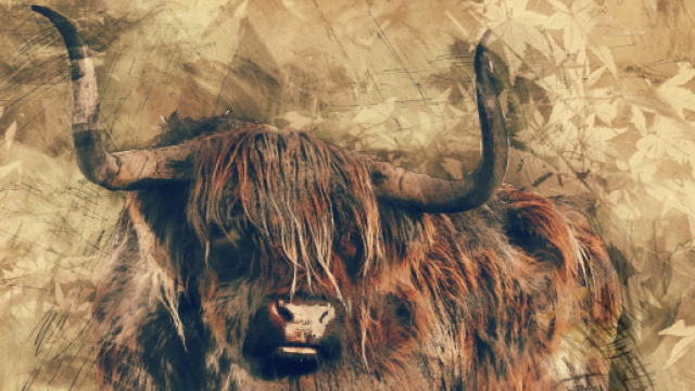 Previsioni astrologiche settimanali dal 23 al 29 dicembre: Toro volitivo, Capricorno poliedrico.