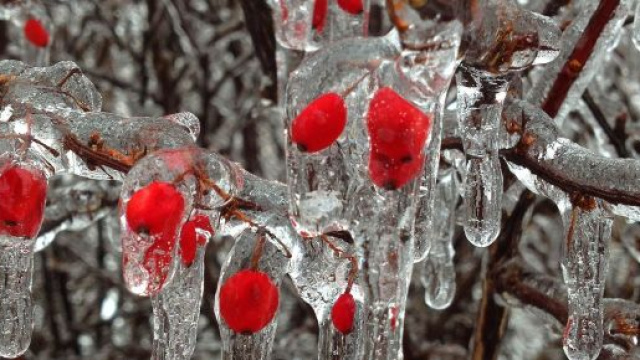 L'oroscopo del weekend dal 29 novembre all'1 dicembre