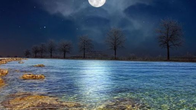 L'oroscopo del 1&deg; dicembre: Cancro orgoglioso, tempi duri per i Pesci