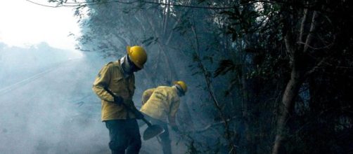 A diminuição de autuações ambientais coincide com aumento de queimadas na Amazônia. (Arquivo Blasting News)