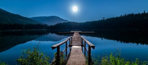 Oroscopo del giorno 12 novembre 2019 | Astrologia, classifica e previsioni: Capricorno segno al 'top del giorno'