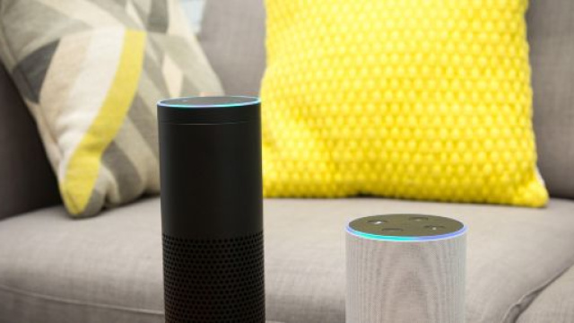 Florida: La polizia 'interroga' Alexa, l'assistente Amazon testimone di un omicidio