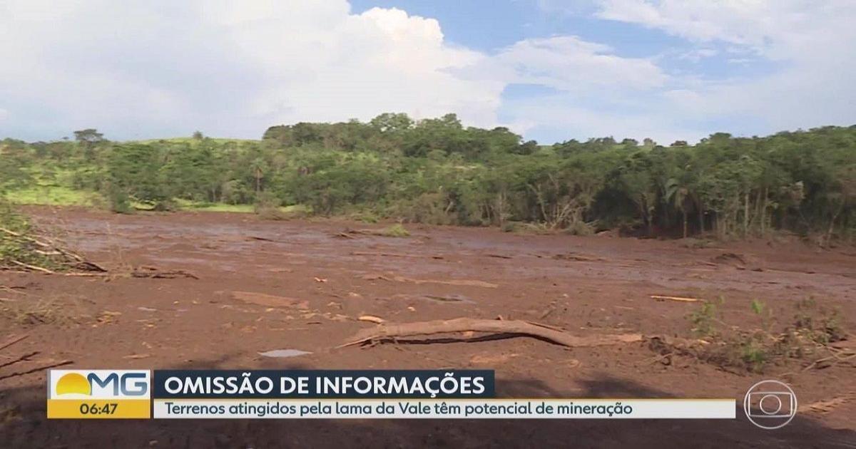 Relatório da ANM alega que Vale omitiu problemas da barragem de Brumadinho - Blasting News Brasil