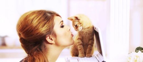 Pourquoi mon chat est jaloux ? - Magazine Avantages - magazine-avantages.fr