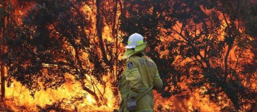 Allarme incendi in Australia, colpa anche dei cambiamenti climatici