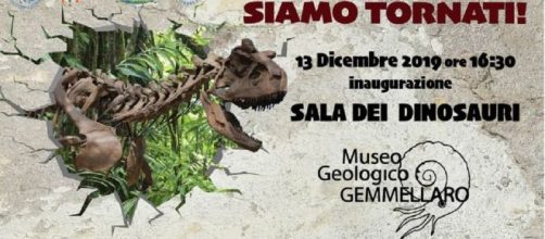 I dinosauri invadono Palermo: gli scheletri di tre giganti della preistoria al Gemmellaro
