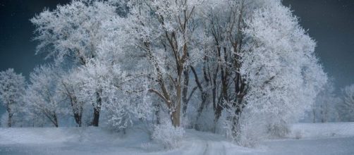 L'oroscopo di domani 12 dicembre