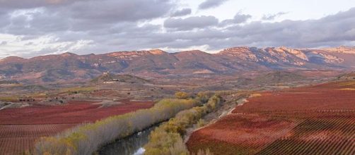 Ingresan a cuatro personas por “Fiebre Q” en La Rioja