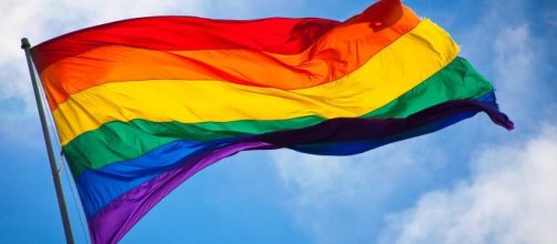 Vicepresidente de EEUU admite prohibición de la bandera gay en las ... - noticiassin.com