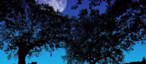 Oroscopo di lunedì 16 dicembre: Sagittario indaffarato, compromessi per Pesci