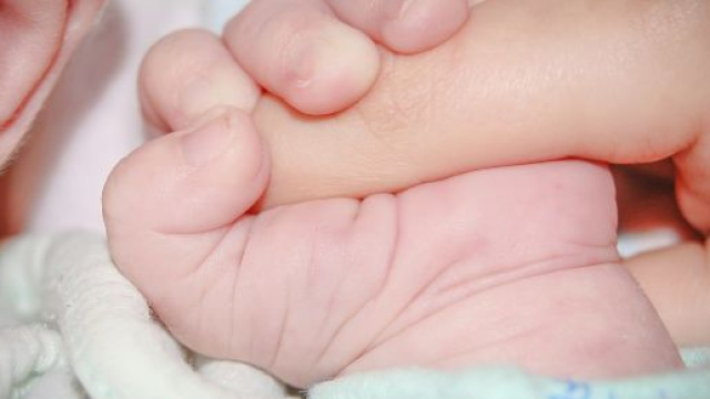 Bonus famiglia e figli 2020, numerose le misure presenti nella legge di Bilancio.