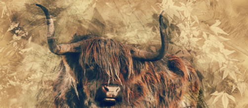 Previsioni astrologiche, classifica 24 dicembre: abbuffate per Toro, finanze 'top' per Vergine.