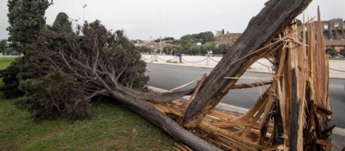 Maltempo, una vittima a Napoli: si tratta di un uomo di 62 anni schiacciato dal fusto di un albero caduto