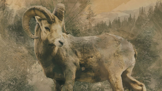 Oroscopo 28 dicembre: Capricorno ostinato, Acquario focoso.