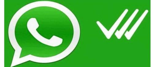 whatsapp smentisce la terza spunta blu