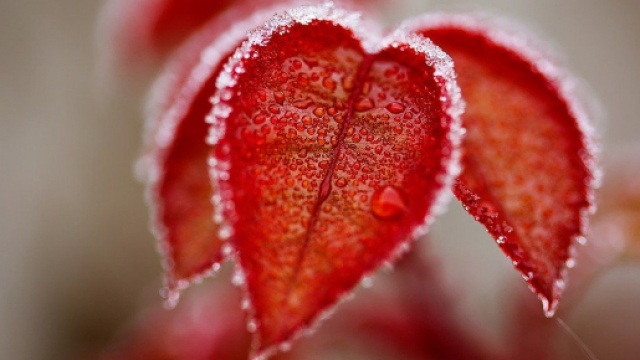 5 proverbi simpatici sul mese di gennaio.