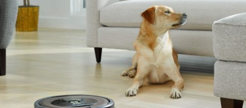 Tutti gli aspirapolvere Roomba, prodotti da iRobot, sono pet friendly