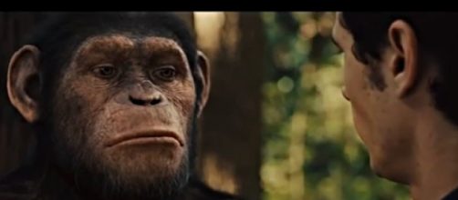Rise of the Planet of the Apes (2011) - Caesar is Home Ending Movie Clip. [Image source/Trending Videos YouTube video]