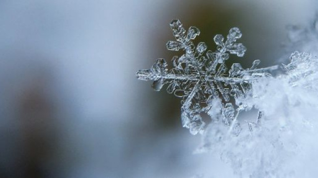 L'oroscopo del weekend dal 6 all'8 dicembre