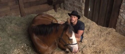 No estábulo, Lucas Viana foi fazer carinho no cavalo Lyon e aproveitou para se despedir na manhã desta quarta (4). (Reprodução/RecordTV)