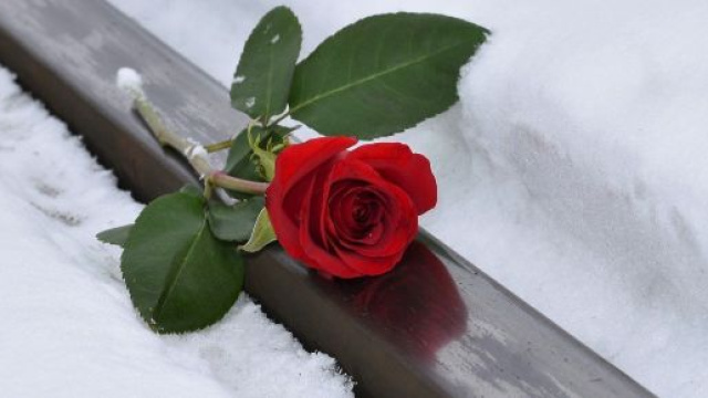 L'oroscopo dell'amore di coppia del 7 dicembre
