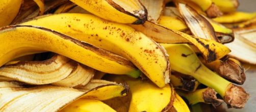 Casca de banana pode ser incluída em diversas receitas e tem alto valor nutritivo. (Arquivo Blasting News)