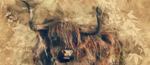 Previsioni astrologiche gennaio, Toro: idee innovative, gelosie nelle faccende di cuore.