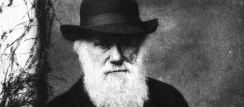 Il 12 febbraio si celebra il 'Darwin Day'