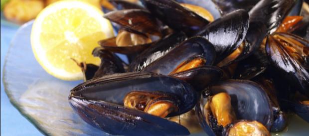 Cozze spagnole contaminate da salmonella: nuova allerta alimentare Cozze spagnole contaminate da salmonella: nuova allerta alimentare