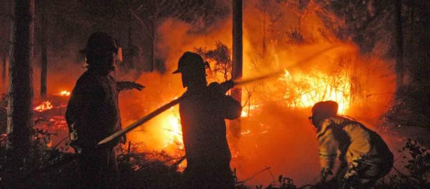 Incendios forestales afectan a Nueva Zelanda. - diarioconcepcion.cl Incendios forestales afectan a Nueva Zelanda. - diarioconcepcion.cl