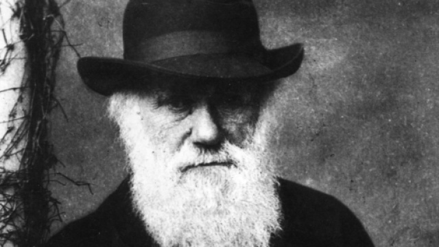 Il 12 febbraio si celebra il 'Darwin Day'