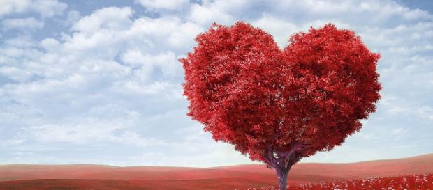 Oroscopo dell'amore di san Valentino. Oroscopo dell'amore di san Valentino.